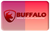 Buffalo4D Logo